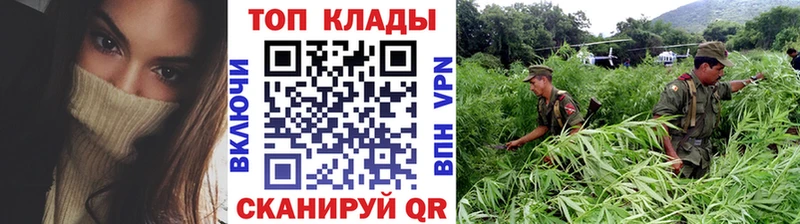 Купить наркоту Изобильный Бошки Шишки  Кокаин  LSD-25  ГАШ  СК 