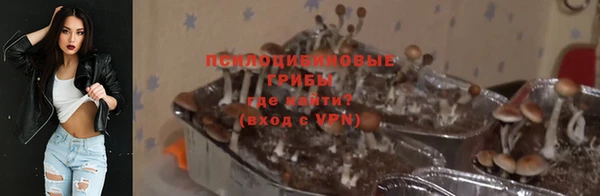 трава Алексин